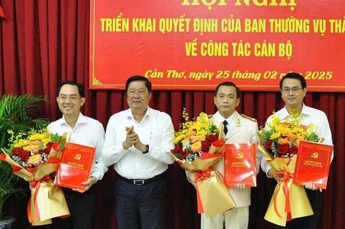 Triển khai quyết định của Ban Thường vụ Thành ủy Cần Thơ về công tác cán bộ