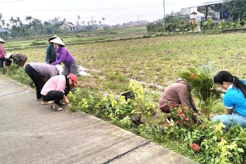 Quảng Nam có thêm 10 xã đạt chuẩn nông thôn mới, kiểu mẫu