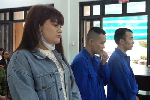 Xét xử nhóm 'cò' mua bán thận và mang thai hộ