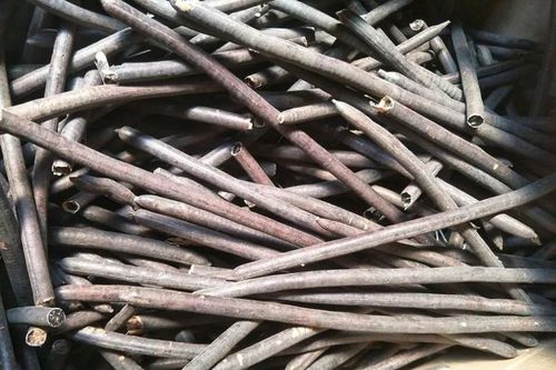 Nhìn tưởng khúc gỗ, không ngờ là loại quả hơn 200.000 đồng/kg