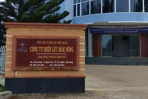 Năng lực nhà thầu trúng gói hàng hóa tại Cty Điện lực Đắk Nông