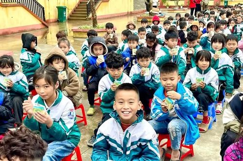 Học sinh 10 trường học tại Yên Bái được uống sữa miễn phí trong 3 tháng