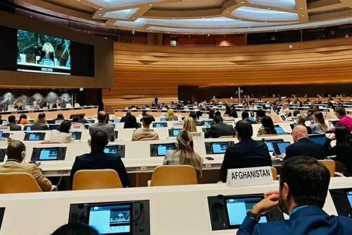 Khai mạc phiên họp thứ 58 Hội đồng Nhân quyền LHQ giữa lúc quyền con người bị 'bóp nghẹt', hệ thống quốc tế đang trải qua sự thay đổi lớn