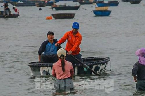 Mất mùa ruốc biển, ngư dân đứng ngồi không yên