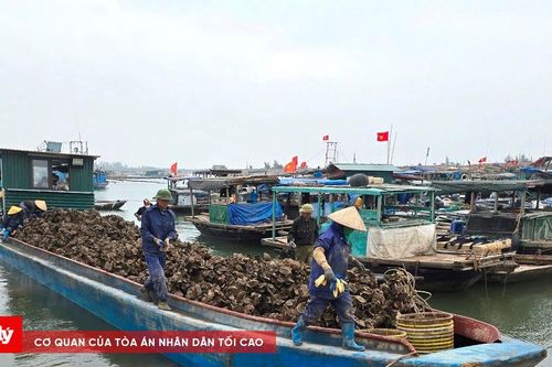 Xử phạt 7,5 triệu đồng đối tượng tung tin 'nhóm xã hội đen cướp hàu'