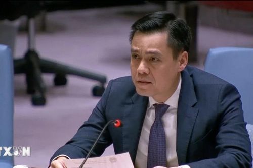 Việt Nam ủng hộ giải quyết xung đột Nga-Ukraine bằng biện pháp hòa bình