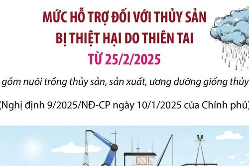Mức hỗ trợ đối với thủy sản bị thiệt hại do thiên tai từ 25/2
