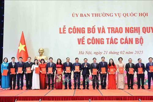 Phê chuẩn danh sách và số lượng Phó Chủ nhiệm các Ủy ban của Quốc hội