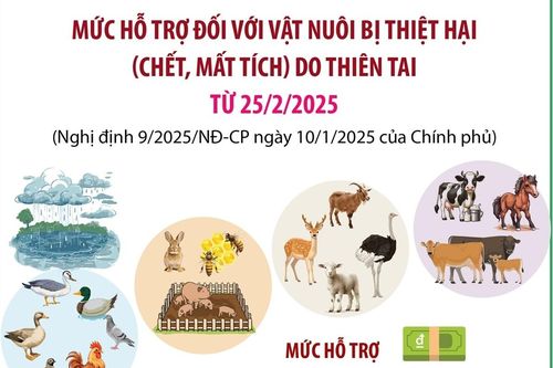 Mức hỗ trợ đối với vật nuôi bị thiệt hại (chết, mất tích) do thiên tai từ 25/2/2025