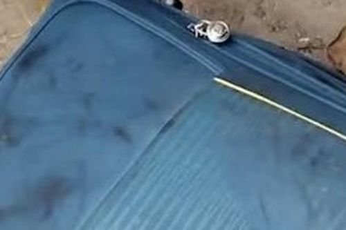Bí mật động trời trong chiếc vali màu xanh và tội ác của cặp mẹ con