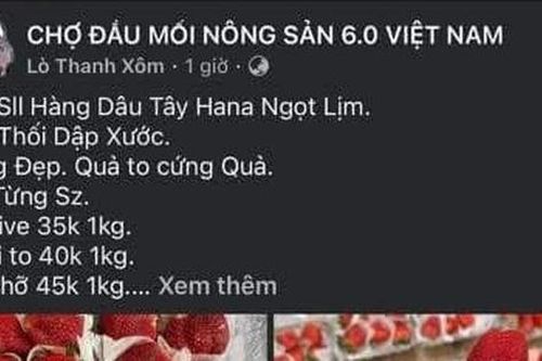 Tìm bị hại trong vụ 'chủ vựa hoa quả' lừa tiền cọc