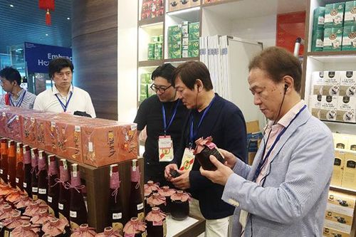 Nhật Bản chia sẻ giải pháp đưa nhà ga quốc nội sân bay Đà Nẵng đạt chuẩn 5 sao