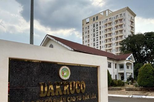 Đang ăn nên làm ra, lãnh đạo Cao su Đắk Lắk bất ngờ thoái sạch vốn