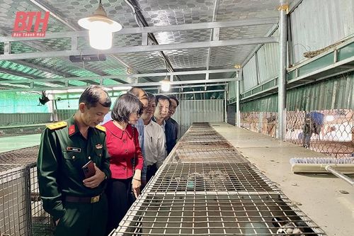 Nhân rộng mô hình con nuôi đặc sản