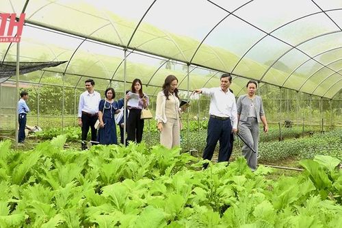 Sản xuất nông nghiệp hữu cơ - hướng đi bền vững cho nông dân