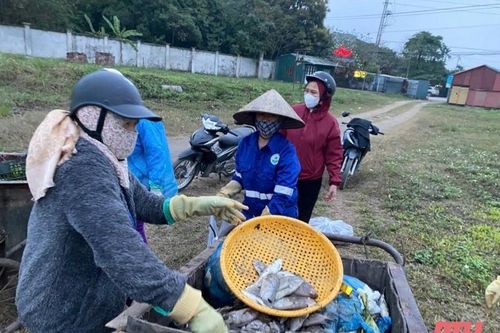 Khẩn trương tìm nguyên nhân cá chết bất thường ở suối Cổ Đam