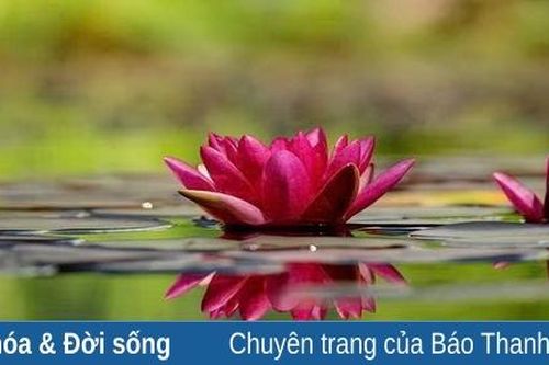 Bảo dưỡng tâm trí