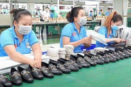 5 năm thực thi EVFTA: Xuất siêu sang EU vượt 35 tỷ USD, 'cửa sáng' cho các mặt hàng chủ lực