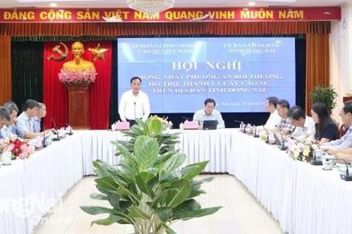 Đồng Nai thu hồi hơn 4,5 ngàn hécta đất cao su để triển khai các dự án trong năm 2025