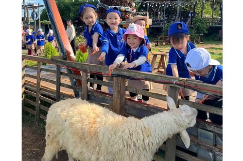 Du lịch canh nông mang lại thu nhập bền vững