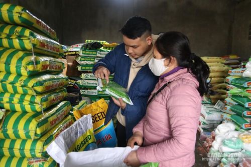Cung ứng đủ vật tư phục vụ nông dân sản xuất vụ xuân