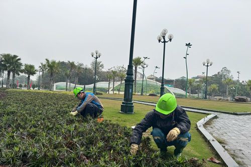 Mưu sinh trong mưa rét