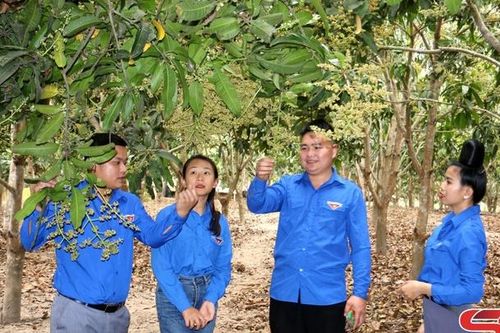 Thanh niên làm kinh tế giỏi