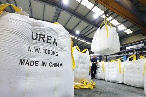 Trung Quốc và Nga tiếp tục hạn chế xuất khẩu, doanh nghiệp sản xuất phân ure Việt Nam hưởng lợi?