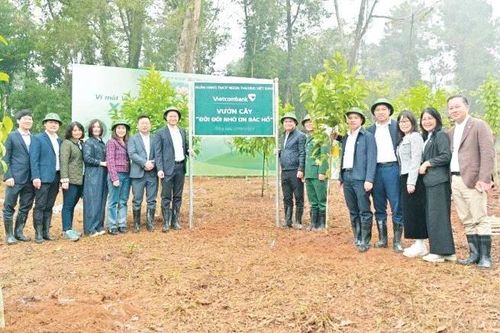 'Vietcombank - Vì một Việt Nam xanh' năm 2025