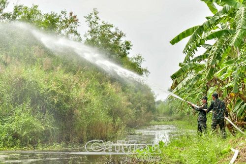 Bảo vệ khu rừng hậu cần quân đội