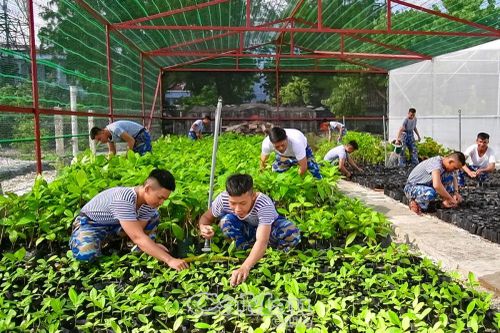 Ra Trường Sa xem 'Sơn Ca ba nhất'Màu xanh chiến sĩNgày mới