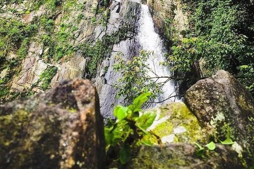 Mê đắm cảnh sắc Thác Bạc hùng vĩ ở Tam Đảo