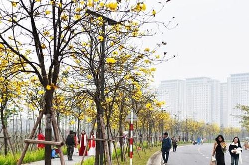 Tăng sức hấp dẫn cho Hà Nội từ những điểm du lịch hoa