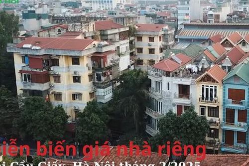 Diễn biến giá nhà riêng tại Cầu Giấy, Hà Nội tháng 2/2025