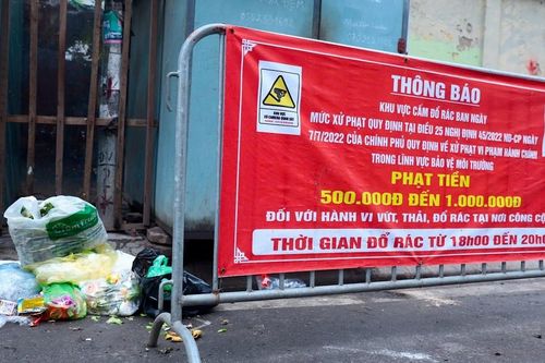 Lắp camera phạt 'nguội' người đổ rác bừa bãi: Cần thiết nhưng phải khả thi