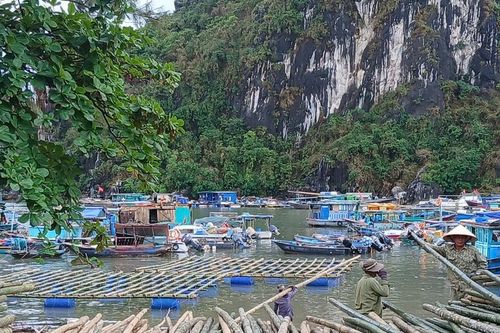Quảng Ninh: Gỡ vướng trong giao biển nuôi trồng thủy sản