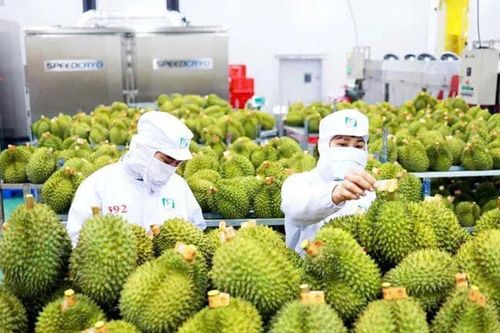 Hóa giải những rào cản xuất khẩu