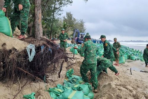 Quảng Ngãi: hàng trăm người dốc sức cứu bờ biển Mỹ Khê