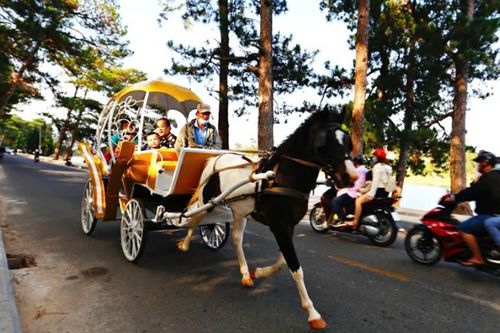 TP Đà Lạt: cấm xe ngựa hoạt động bên hồ Xuân Hương