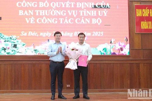 Phó Chủ tịch Ủy ban nhân dân tỉnh Đồng Tháp giữ chức Bí thư Thành ủy Sa Đéc