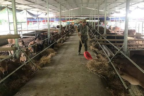 Bắc Kạn chấn chỉnh thực hiện các dự án hỗ trợ phát triển sản xuất