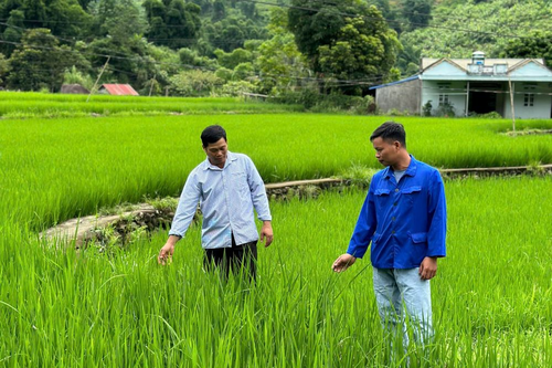 Người có uy tín góp sức thay đổi Bản Lang