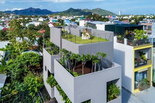 Mãn nhãn ngôi nhà xanh mướt giữa 'rừng bê tông' ở Nha Trang