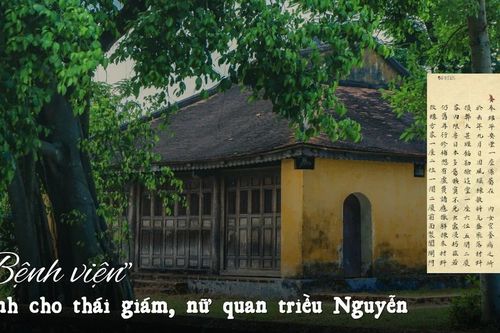 Hé lộ thú vị về nền y dược triều Nguyễn