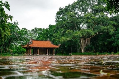 LAMORI: Kiến thiết bởi sự thanh tao