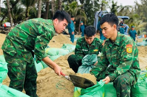 Quảng Ngãi: Huy động lực lượng khắc phục sạt lở bờ biển