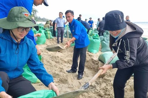 Hàng trăm người đắp kè, 'cứu' bờ biển đẹp nhất Quảng Ngãi