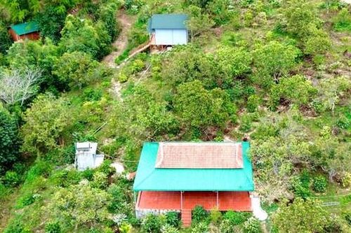 Vụ lừa đảo tu tập 'đắc đạo thành tiên': Lời kể của nạn nhân và dân làng