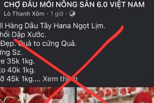 Tìm người bị đối tượng ở Sơn La dụ mua nông sản rồi chiếm đoạt tiền cọc