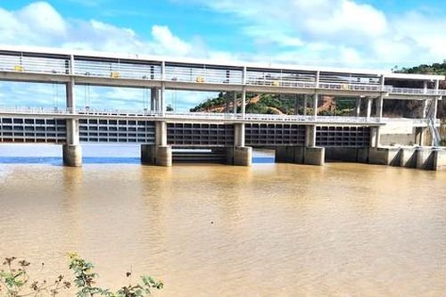 Hơn 200ha lúa ngập lụt giữa mùa khô bên công trình ngăn lũ 200 tỷ đồng